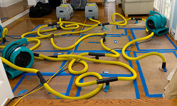 Professional Water Extraction technician working in Cedar City, UT